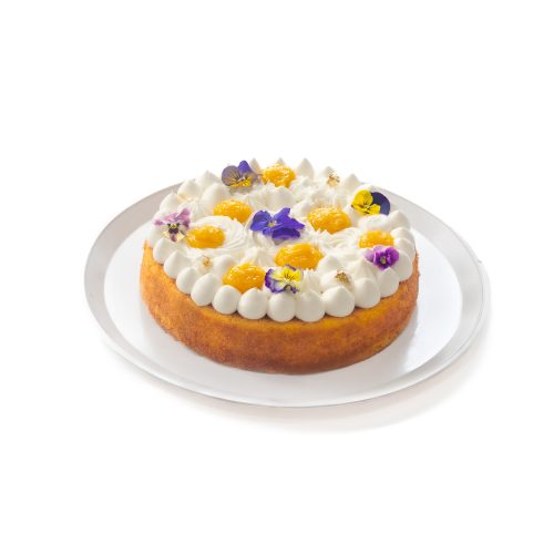 PASTEL DE MANGO 1